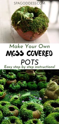 moss covered pots with the words make your own moss covered pots