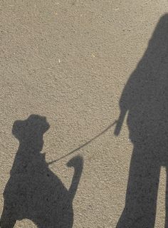 a shadow of a person holding a dog on a leash