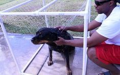 a man petting a dog on the nose while sitting in front of a fence