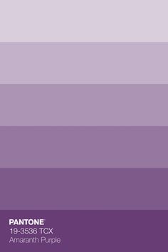 pantone's purple hue is shown in this image