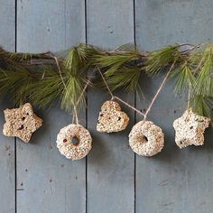 several donuts hanging from a tree branch on a wooden wall with pine needles and twine