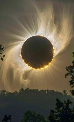 the solar eclipse is seen through clouds over trees