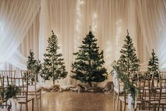 a room with chairs and christmas trees on the floor in front of them, all set up for an event