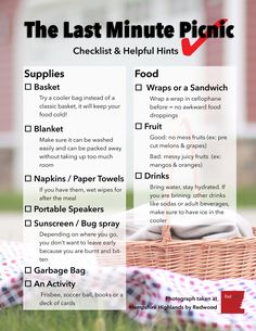 the last minute picnic checklist and helpful hints