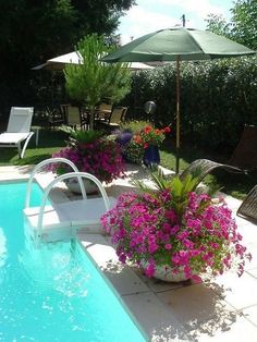 an image of a pool with flowers in the middle and chairs around it on the other side