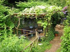 an outdoor garden with lots of greenery and plants on the roof, along with potted plants