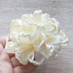 a person holding a white flower in their hand