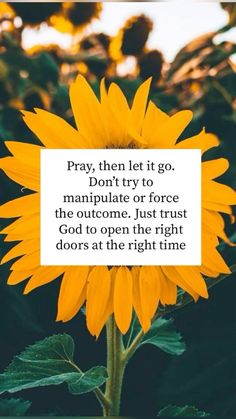 a sunflower with the words pray, then let it go don't try to manipulate