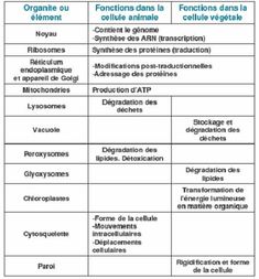 a table with different types of animals and their names in french, english and spanish