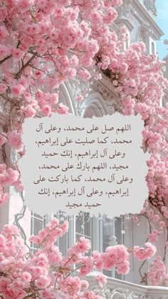 pink flowers are blooming in front of a white building with arabic writing on it