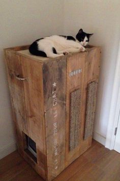 a black and white cat laying on top of a wooden crate