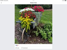 a bike with flowers in the basket on it's front wheel is parked next to some shrubbery