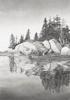 a black and white photo of some rocks in the water with trees around it on a cloudy day