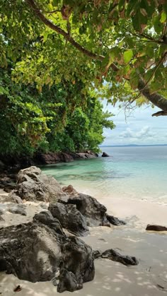 the beach is surrounded by trees and rocks