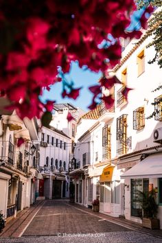 an empty street with white buildings and red flowers in the foreground on a sunny day