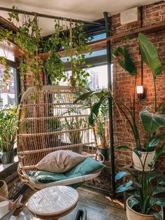 a room filled with lots of plants and furniture