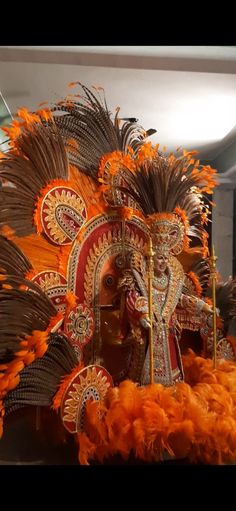 an orange and gold costume with feathers on display