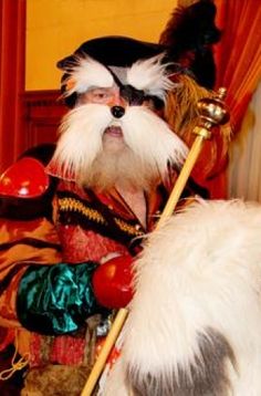 a dog dressed up as a pirate with a stick in it's mouth and wearing a costume