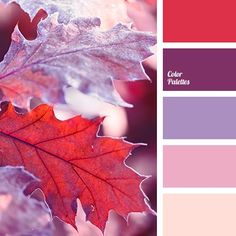 a red and purple color palette with leaves