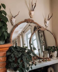 a mirror sitting on top of a mantle next to a potted plant and antlers