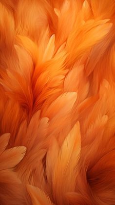 an orange and yellow background with lots of feathers