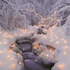 a stream of water surrounded by snow covered trees with lights in the middle and around it