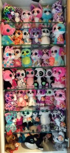 a shelf filled with lots of little stuffed animals