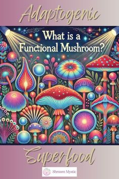 What is a functional mushroom Mushroom Medicine, Functional Mushrooms, Wellbeing Activities, Gift Me, Healing Quotes Spiritual, Health Secrets, Mushroom Benefits, Healing Thoughts, Healing Books