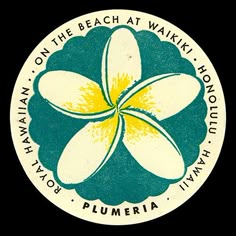 a white and yellow flower with the words on the beach at waiki koa