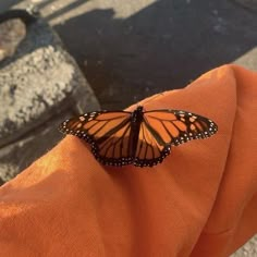 a monarch butterfly sitting on someone's arm in an orange shirt with black dots