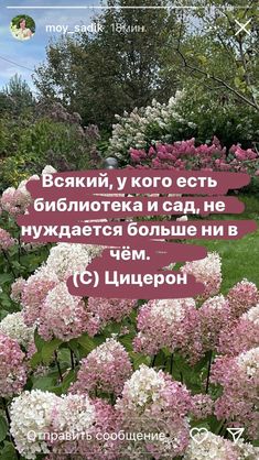 some pink and white flowers are in the grass with words above them that read,