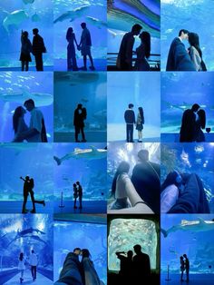 several images of people standing in front of an aquarium