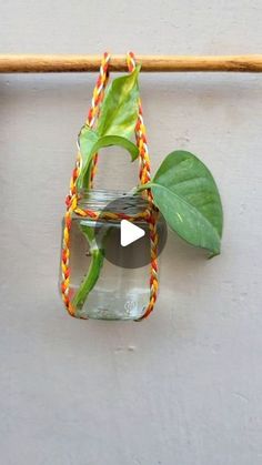 a glass jar filled with water sitting on top of a wooden stick next to a plant