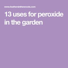 the words 13 uses for peroxide in the garden on a lila colored background