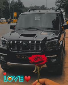 a person holding a rose in front of a black truck with love written on it