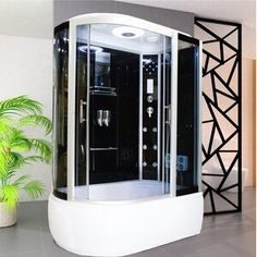 a bathroom with a stand up shower next to a potted plant