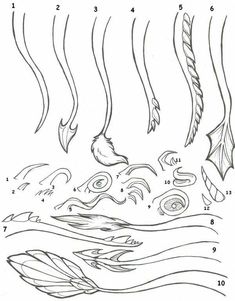 Dragon tails, text; How to Draw Manga/Anime Dragon Sketch, Mermaid Tails, Concept Art Drawing, Dragon Drawing, Creature Concept Art, Drawing Stuff, Drawing Lessons, Art Tutorials Drawing, Dragon Art