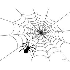 a spider sitting on its web in the middle of it's cobwe