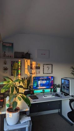 a computer desk with two monitors and a potted plant