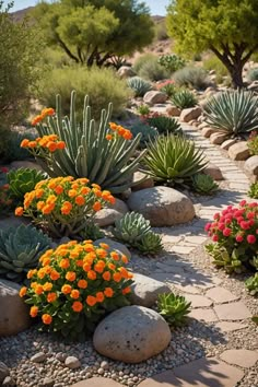 an assortment of plants and rocks in a garden area with flowers on each side of the path