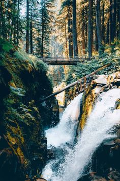 a small waterfall running through a forest filled with lots of rocks and trees next to a bridge