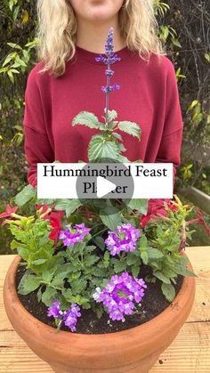 Needmore Farms | Gardening, DIY, and Recipes on Instagram: "Hummingbird Feast Planter 🪴   Mystic Spires Salvia- Hardy in zones 7a-10b  Proven Winner Sparkling Amethyst Superbena- Annual   Red Verbena (not in video but we added some to the back) - Annual   Starmaker Red Nictotiana- Annual. This plant has some toxic elements so it is best kept away from pets or small children. You could substitute with red petunias.  We recommend a 10” or larger planter   #garden #gardening #plants #plant #hummingbird #needmorefarms" Front Yard Flower Pots, Hummingbird Planter Ideas, Small Garden Planting Ideas, Petunias In Pots, Proven Winners Containers, Red Petunias, Hummingbird Garden Flowers, Plants For Hummingbirds