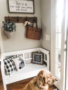 a dog sitting on a bench in front of a door with pillows and other items