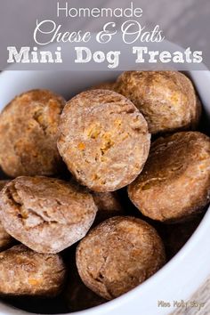 homemade cheese and oats mini dog treats in a white bowl