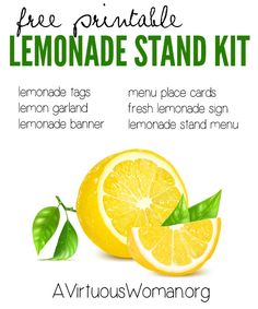 the lemonade stand kit is ready to be used