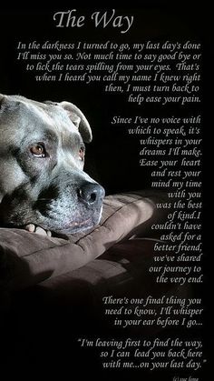 a dog laying on top of a pillow with a poem written in the bottom right corner