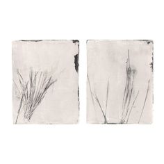 two black and white drawings of grass on a white background, one is drawn in pencil