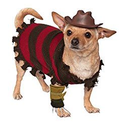 a small dog wearing a cowboy hat and sweater