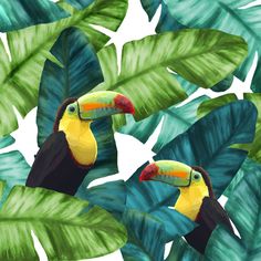 a painting of two toucans in the jungle surrounded by green leafy plants