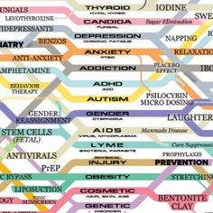 Holistic Healing Web, Healing Web Poster, Healing Web Map, Healing Web Chart, The Healing Web Chart, Web Diagram, Herbs Medicinal